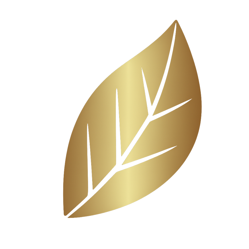 SSC Logo